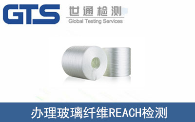 �����w�SREACH�z�y