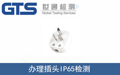 ���^IP65�z�y(c��)