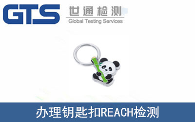 耳׿�REACH�z�y(c��)