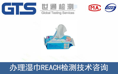 ���REACH�z�y(c��)