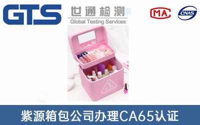 ���y����CA65�J�C