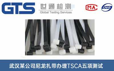 ����?ji��n)���TSCA���(xi��ng)�yԇ