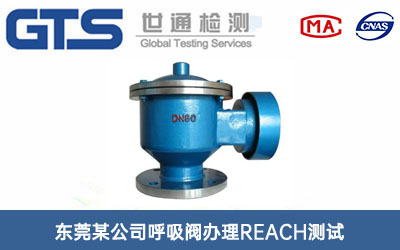 �����yREACH�y(c��)ԇ