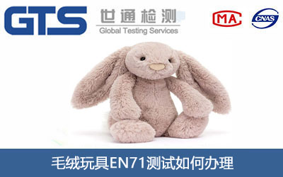 ë�q���EN71�yԇ